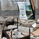 ABD0058-20130620.jpg