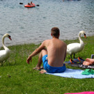 BK_170613_Baggersee_Paspels 14_jpg-1371740866
