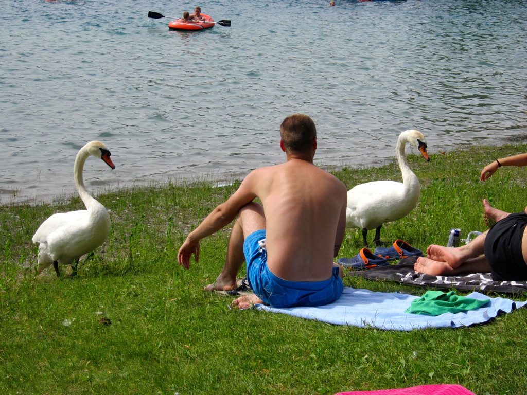 BK_170613_Baggersee_Paspels 14_jpg-1371740866
