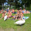 BK_170613_Baggersee_Paspels 17_jpg-1371740910