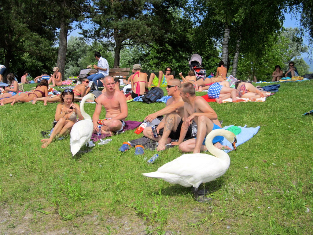 BK_170613_Baggersee_Paspels 17_jpg-1371740910