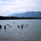 BK_170613_Baggersee_Paspels 20_jpg-1371740967