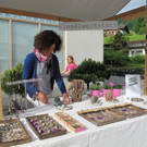 IMG_3249_jpg-1371742437