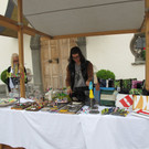 IMG_3252_jpg-1371742457