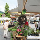 IMG_3255_jpg-1371742475