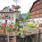 IMG_3257_jpg-1371742494