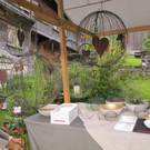 IMG_3267_jpg-1371742555