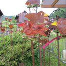 IMG_3268_jpg-1371742564