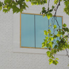 DSCN6118_JPG-1371767575