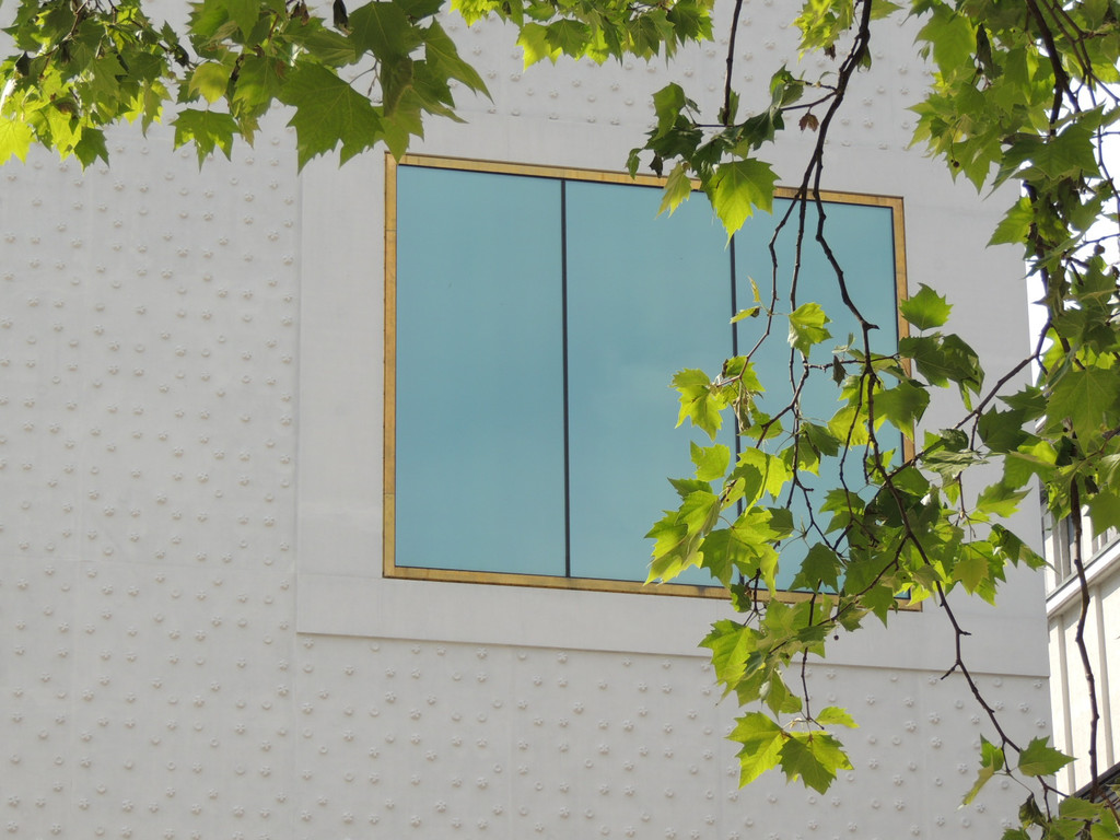 DSCN6118_JPG-1371767575