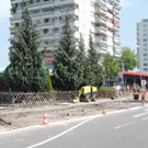 DSCN8968_JPG-1371768610