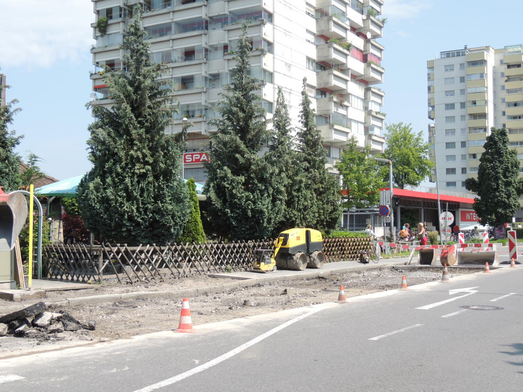 DSCN8968_JPG-1371768610