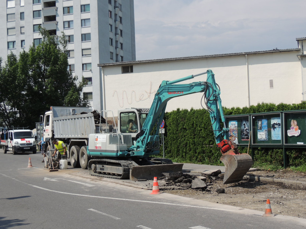 DSCN8974_JPG-1371768632