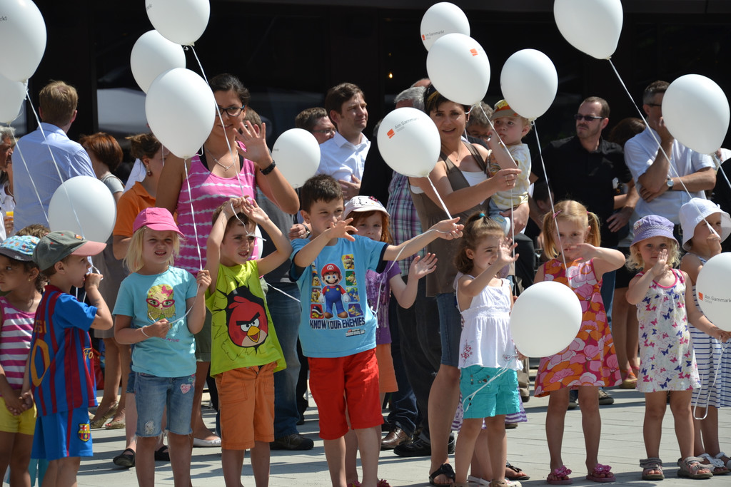 DSC_0409_JPG-1371801939