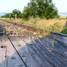 20062013_Pkw gegen Zug_Haderswoerth _10_.jpg