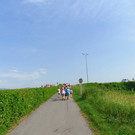 IMGP0831.JPG