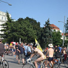 DSC_6625.JPG