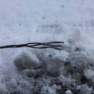 normal_08032010oberleitaaktivnews_03.jpg