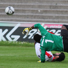 IMG_5910_jpg-1371897474