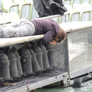 DSCN7102_JPG-1371899595