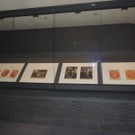 DSCN9251_JPG-1371900827