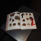 DSCN9293_JPG-1371900871