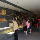 DSCN9329_JPG-1371900910