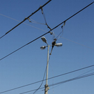 normal_08032010oberleitaaktivnews_13.jpg