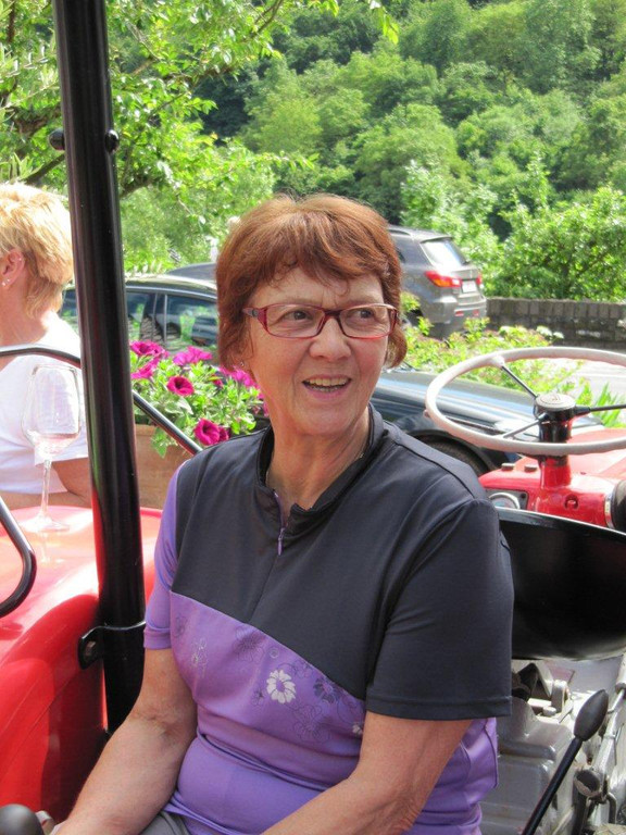 Mosel Radtour II vom 16_ 20_ 2013 012 - Kopie - Kopie _2__jpg-1371901422