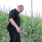 Mosel Radtour II vom 16_ 20_ 2013 025 - Kopie_jpg-1371901436