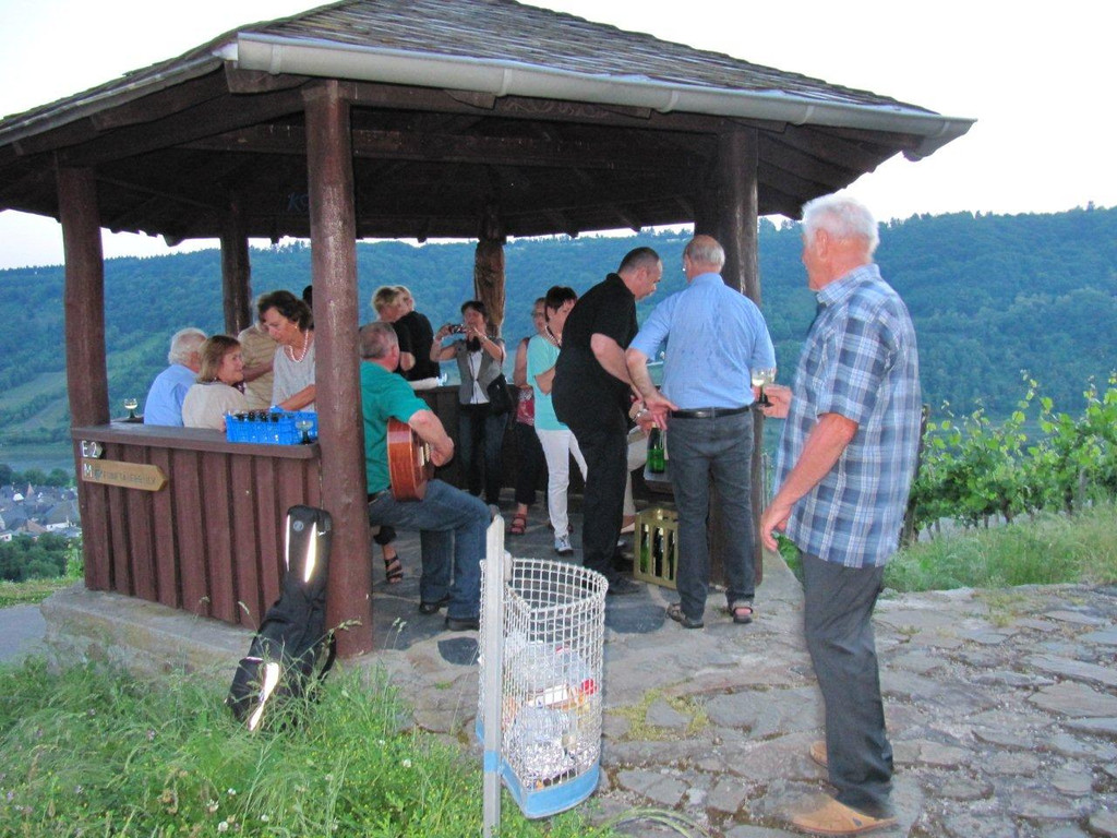 Mosel Radtour II vom 16_ 20_ 2013 029 - Kopie_jpg-1371901440