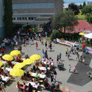 Volksschule Sportfest 2013 _37__jpg-1371902023