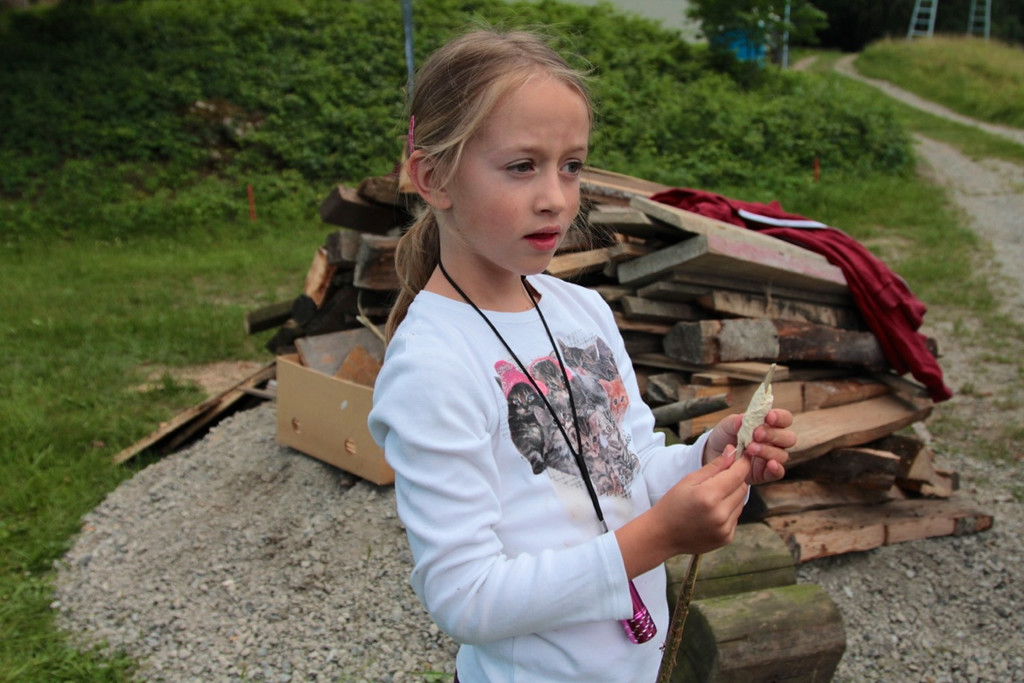 KOE_Sonnwendfeier Nofels 12_jpg-1371912166