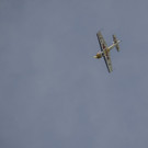 _DSC5112.jpg