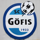KOE_Sportplatzeroeffnung Goefis 65_jpg-1371931054