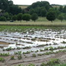 Unwetter Bez_ Melk _47_.jpg