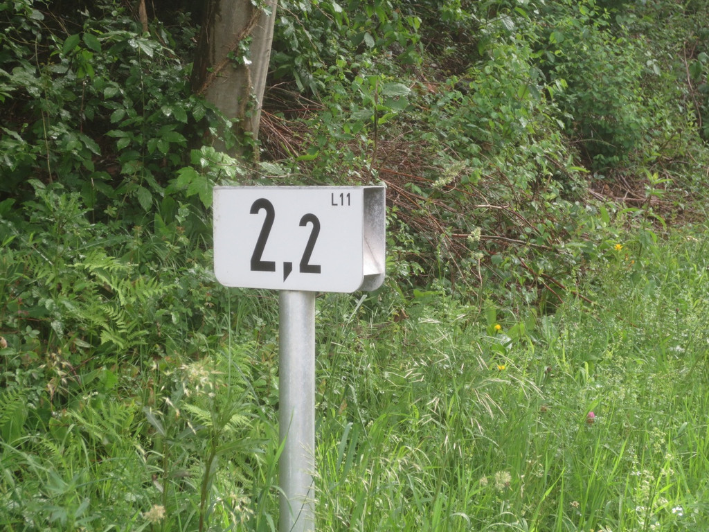 Eichenberger Stra__e L 11 Baufortschritt 2013 _30__jpg-1371975414