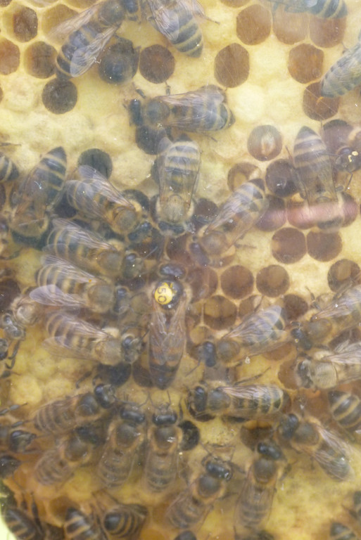 P1010056_JPG-1372003060