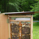 P1010054_JPG-1372003134