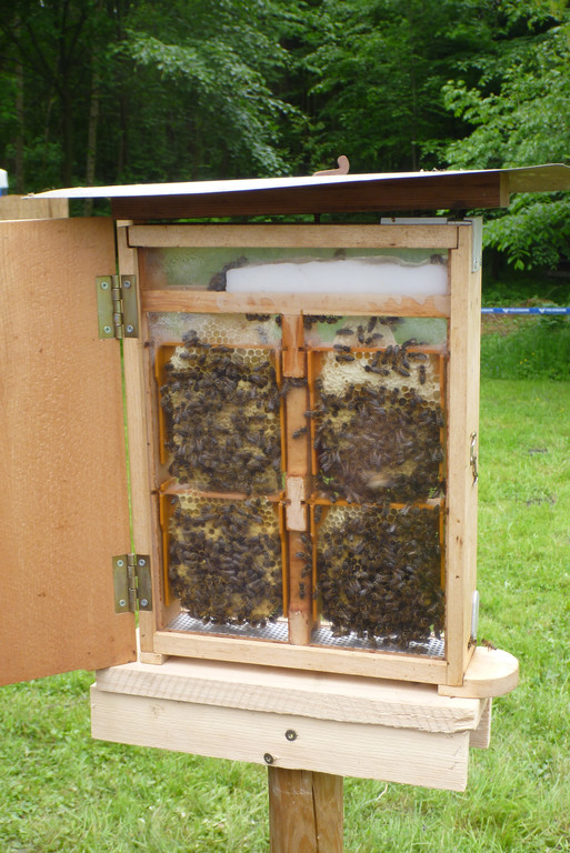 P1010054_JPG-1372003134