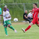 IMG_7452_jpg-1372008177