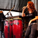 DSC08797.JPG
