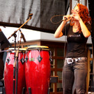 DSC08798.JPG