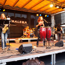 DSC08804.JPG