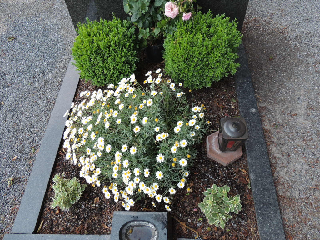 DSCN9154_JPG-1372029848