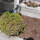 DSCN9151_JPG-1372029839