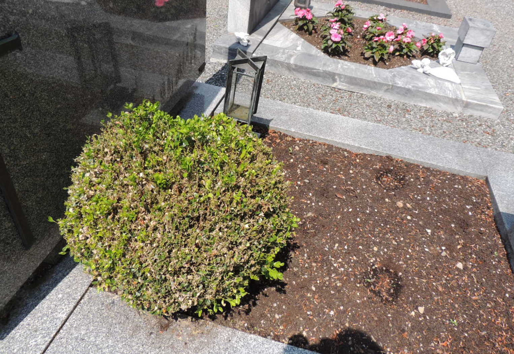 DSCN9151_JPG-1372029839