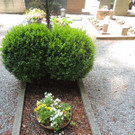 DSCN9146_JPG-1372029823