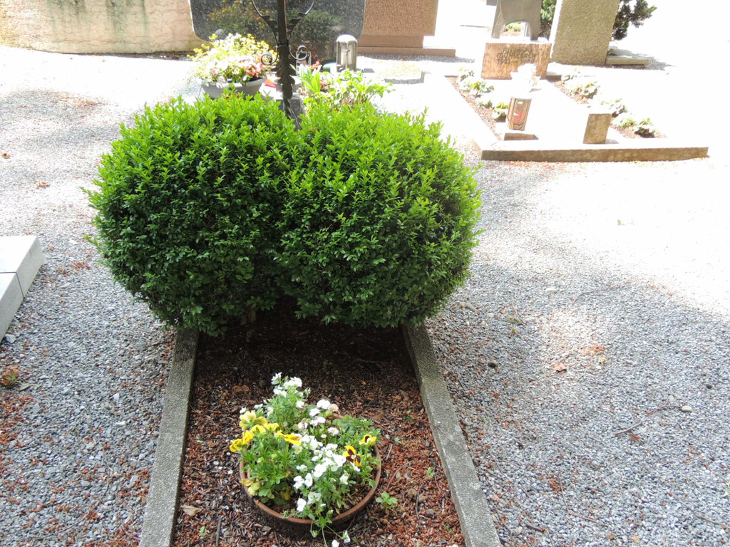 DSCN9146_JPG-1372029823