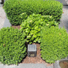 DSCN9155_JPG-1372029856